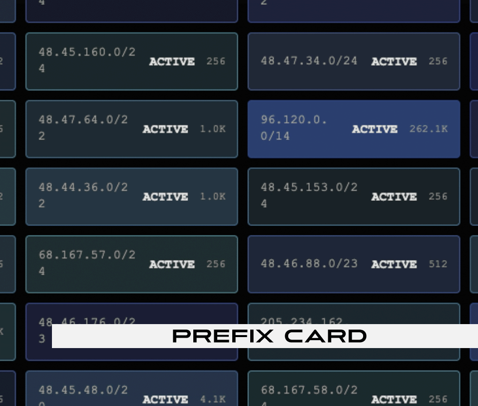 04 — Prefix card (Address Grid)