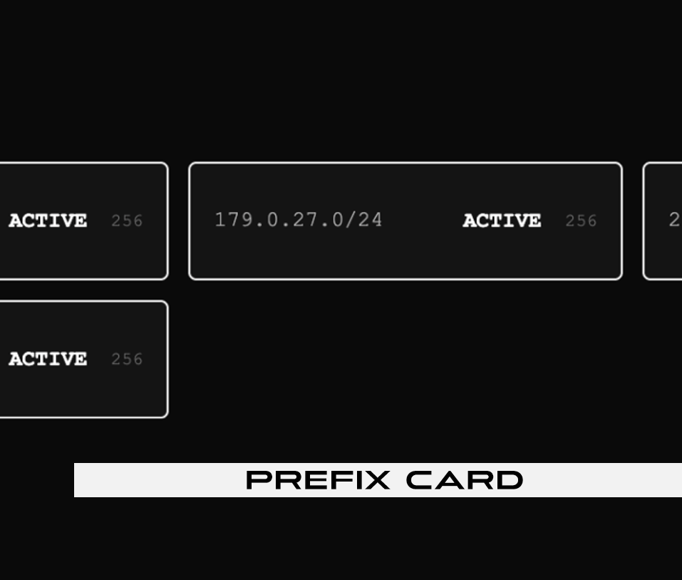 04 — Prefix card (Address Grid)